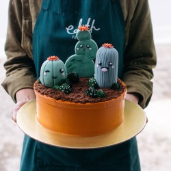 Cactus Pot Cake