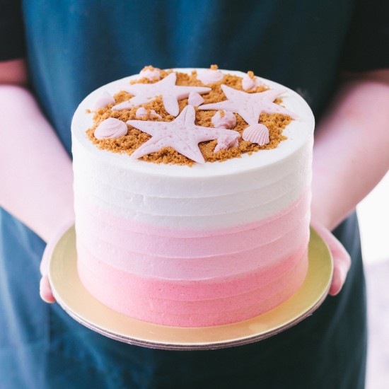 Ombre with Starfish and Seashells