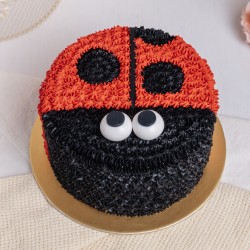 Piped Ladybug Cake