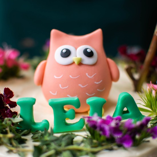 Fondant Pink Owl #2 Topper