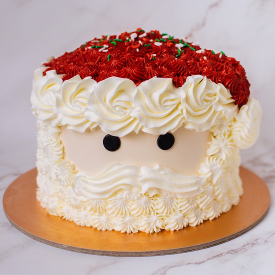 Piped Santa Cake