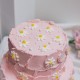 Two Tier Pastel Pink Swash Cake with Piped Daisies