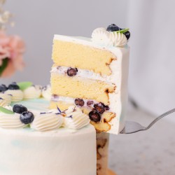 Sugar-Free Blueberries & Cream Cake (Gluten-Free, Keto)