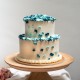 Blue & Navy Piped Hydrangea Cake - Two Tier