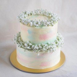 Two Tier Pastel Marble Cake with Baby's Breath