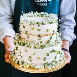 Two Tier Rustic Daisies and Baby’s Breath Cake